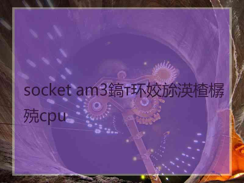 socket am3鎬т环姣旀渶楂樼殑cpu