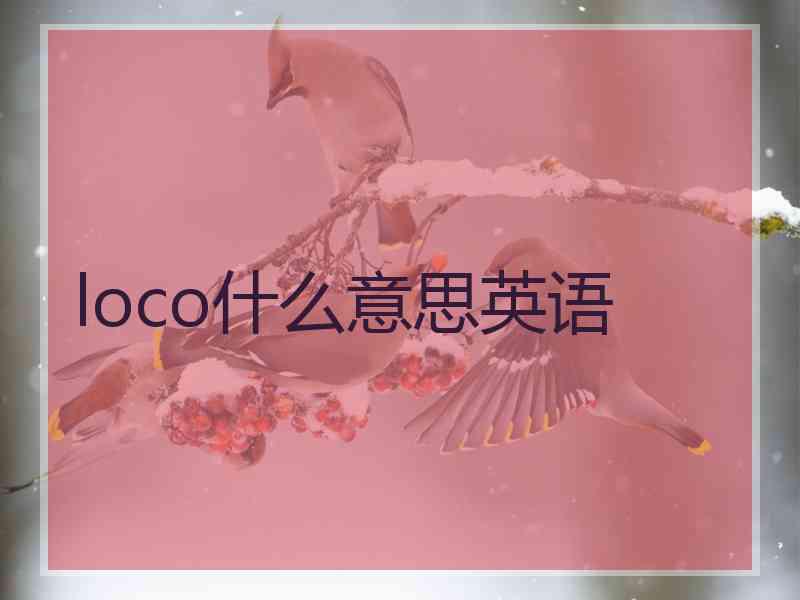 loco什么意思英语