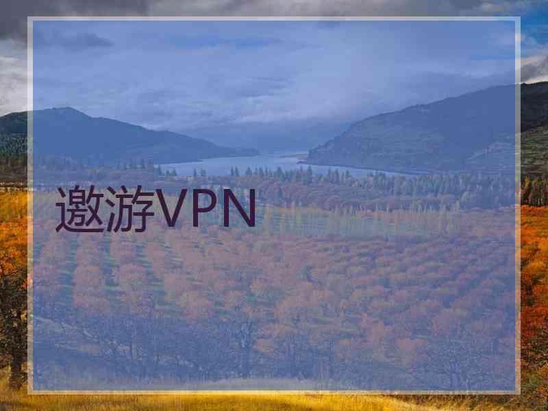 邀游VPN