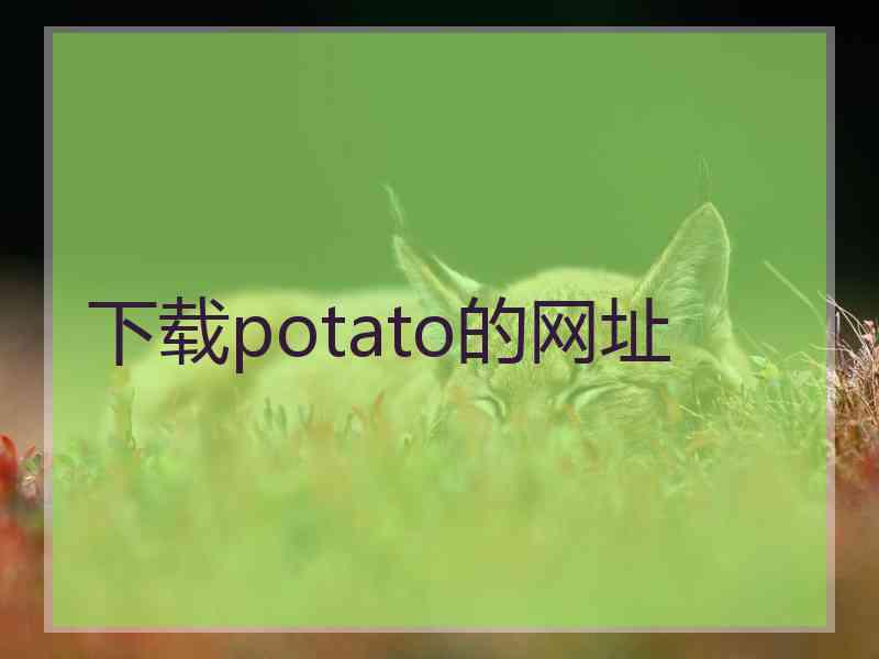 下载potato的网址