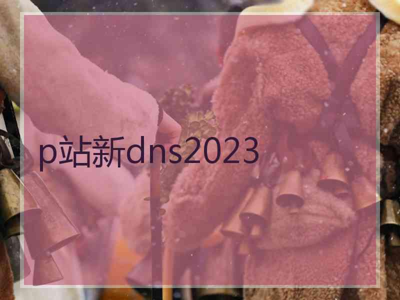 p站新dns2023