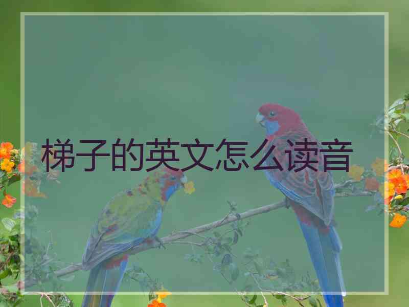 梯子的英文怎么读音