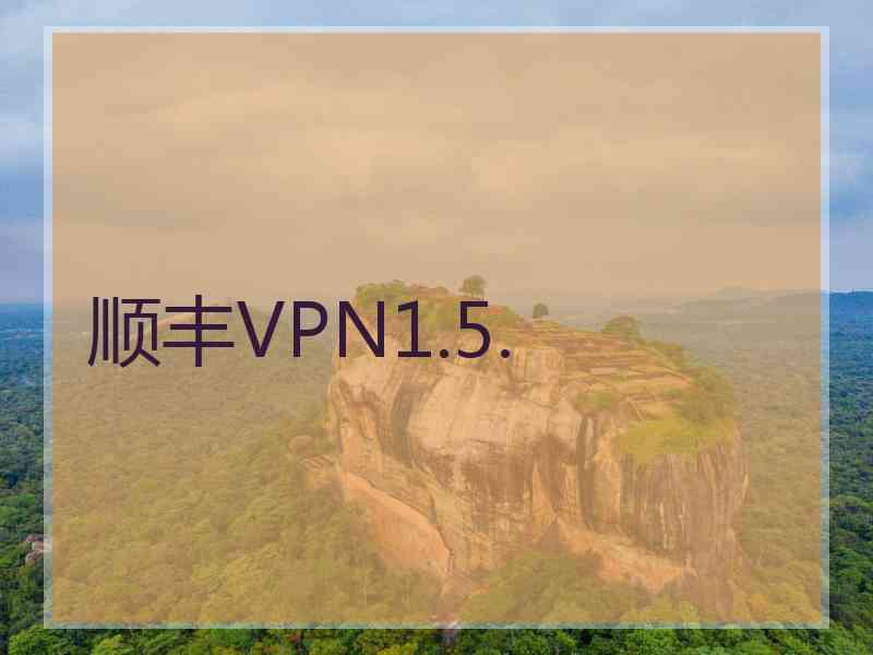 顺丰VPN1.5.